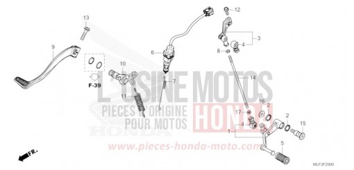 PEDALE NT1100AN de 2022